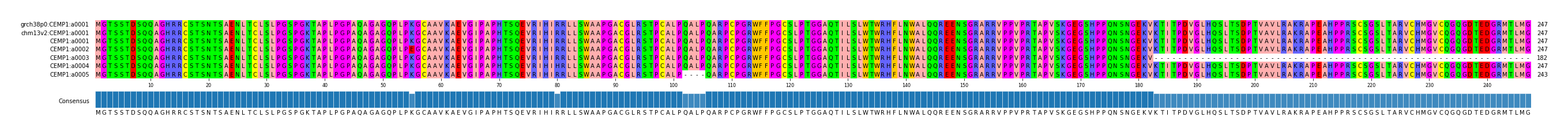 Multiple Alignments (by translate haplotype frequency)