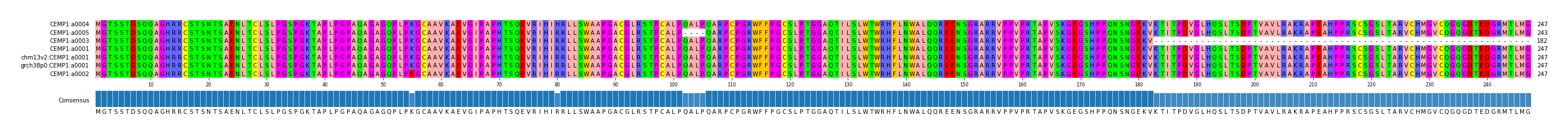 Multiple Alignments (by translate haplotype similarity)