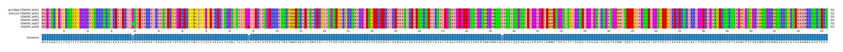 Multiple Alignments (by translate haplotype frequency)