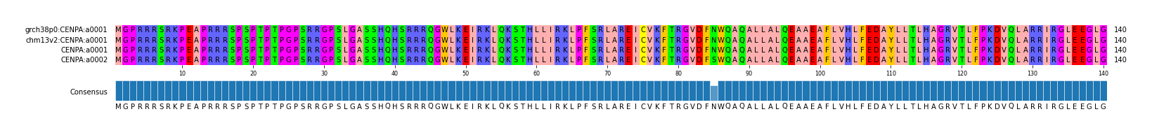 Multiple Alignments (by translate haplotype frequency)