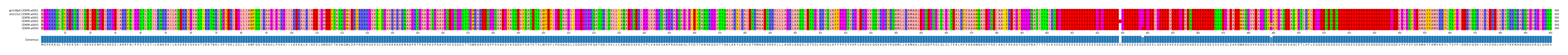 Multiple Alignments (by translate haplotype frequency)