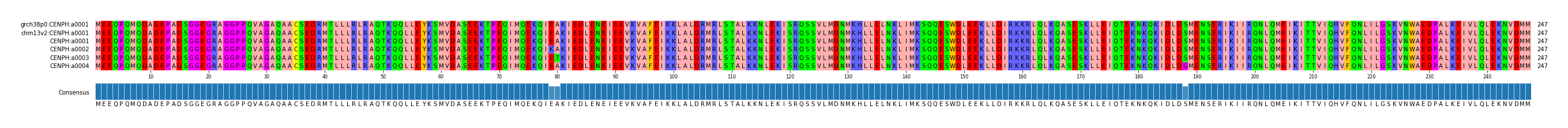 Multiple Alignments (by translate haplotype frequency)