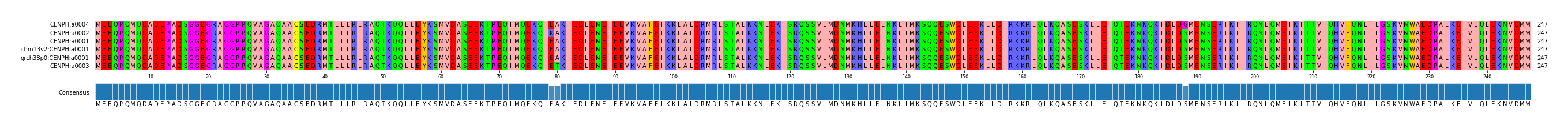 Multiple Alignments (by translate haplotype similarity)