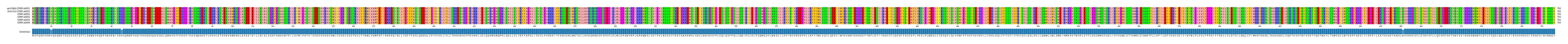 Multiple Alignments (by translate haplotype frequency)