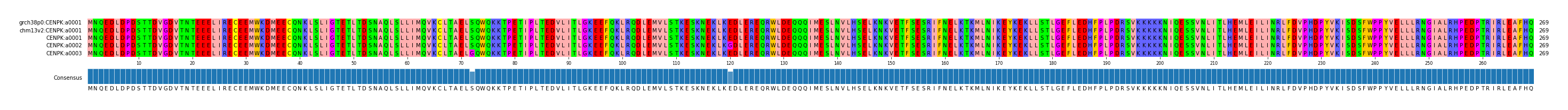 Multiple Alignments (by translate haplotype frequency)