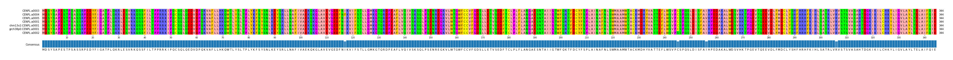 Multiple Alignments (by translate haplotype similarity)