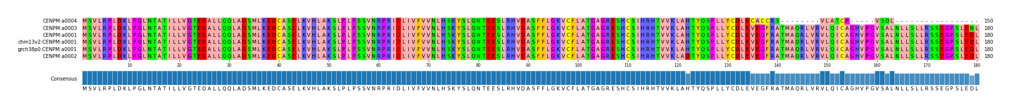 Multiple Alignments (by translate haplotype similarity)