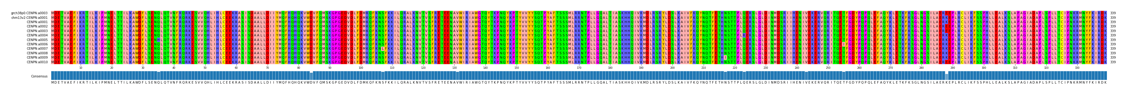 Multiple Alignments (by translate haplotype frequency)