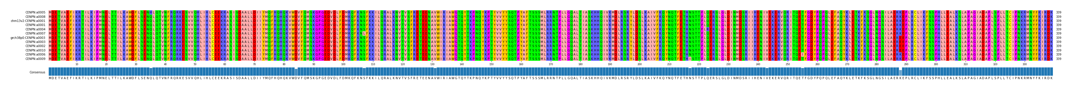 Multiple Alignments (by translate haplotype similarity)