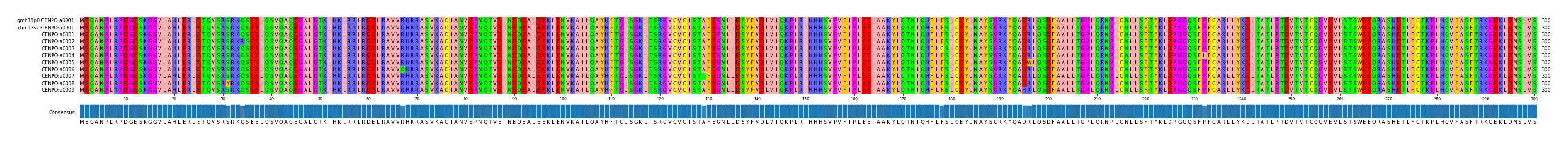 Multiple Alignments (by translate haplotype frequency)