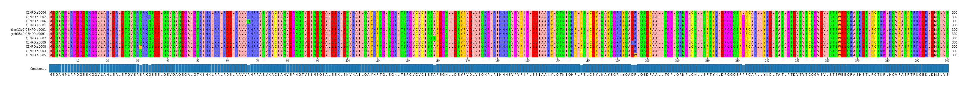 Multiple Alignments (by translate haplotype similarity)