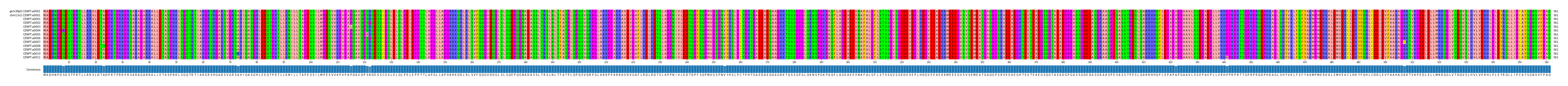 Multiple Alignments (by translate haplotype frequency)