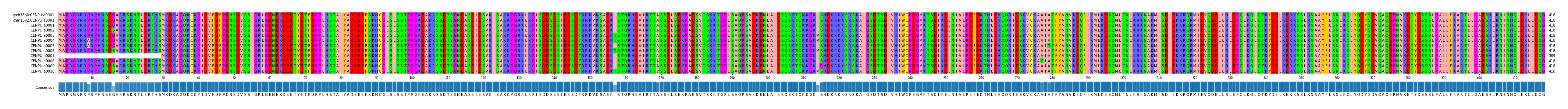 Multiple Alignments (by translate haplotype frequency)