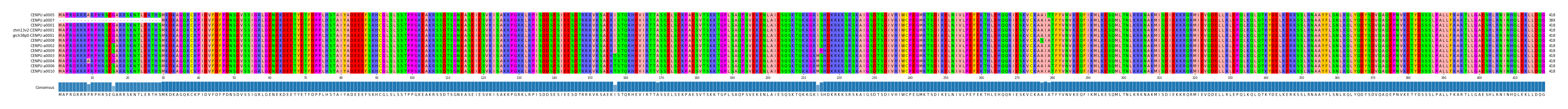 Multiple Alignments (by translate haplotype similarity)