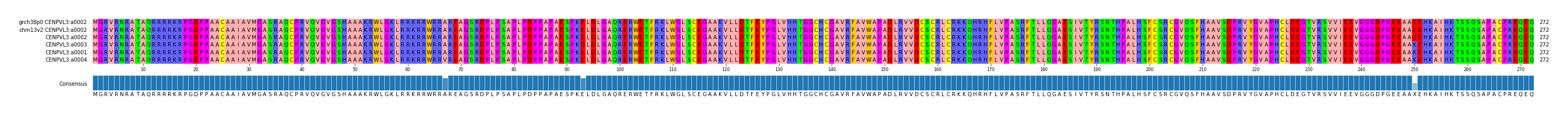 Multiple Alignments (by translate haplotype similarity)
