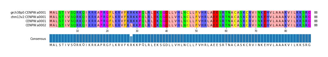 Multiple Alignments (by translate haplotype similarity)