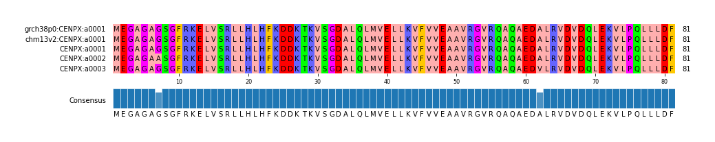 Multiple Alignments (by translate haplotype frequency)