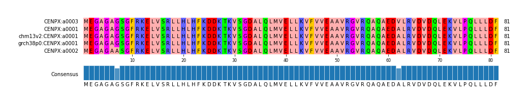 Multiple Alignments (by translate haplotype similarity)
