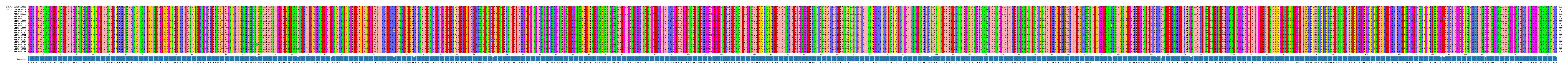 Multiple Alignments (by translate haplotype frequency)