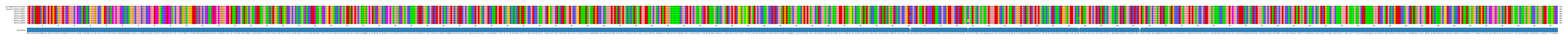 Multiple Alignments (by translate haplotype frequency)