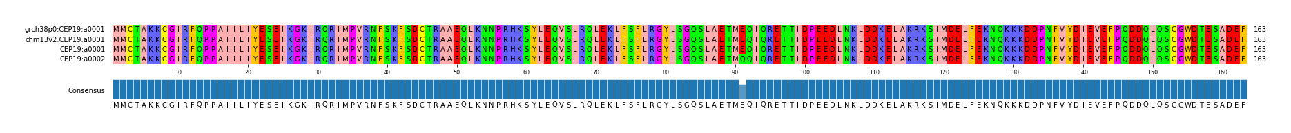 Multiple Alignments (by translate haplotype frequency)