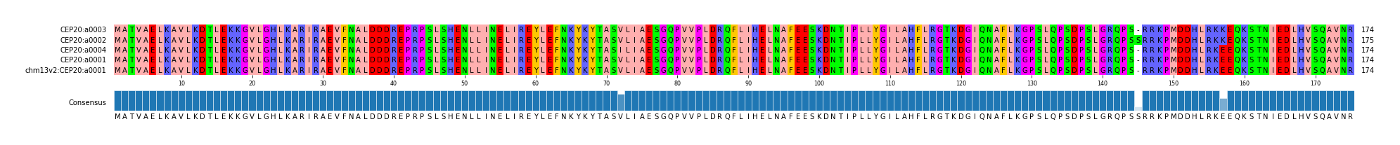 Multiple Alignments (by translate haplotype similarity)