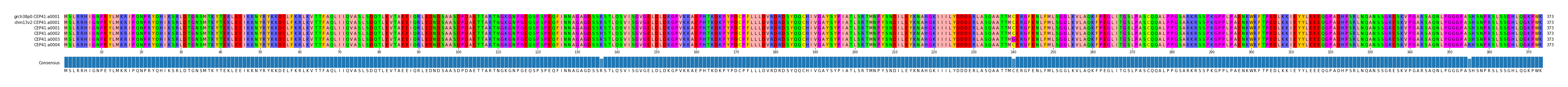 Multiple Alignments (by translate haplotype frequency)