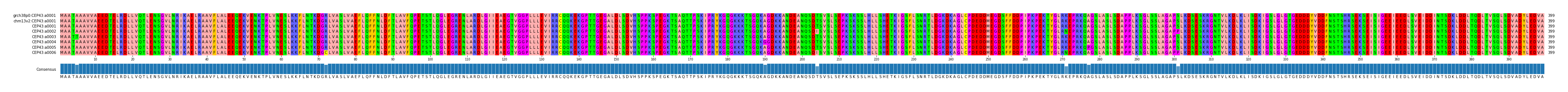 Multiple Alignments (by translate haplotype frequency)