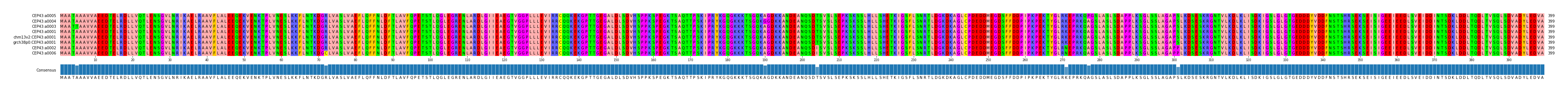 Multiple Alignments (by translate haplotype similarity)