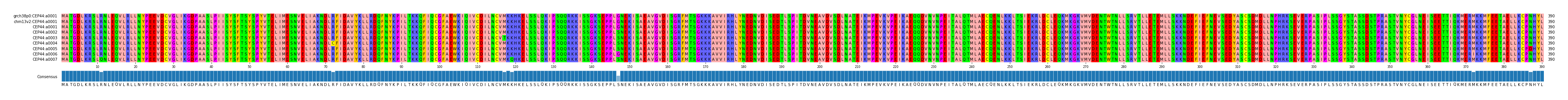 Multiple Alignments (by translate haplotype frequency)