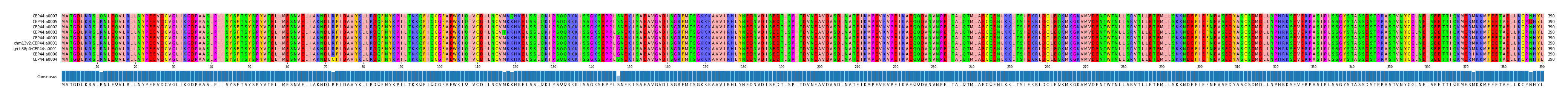 Multiple Alignments (by translate haplotype similarity)