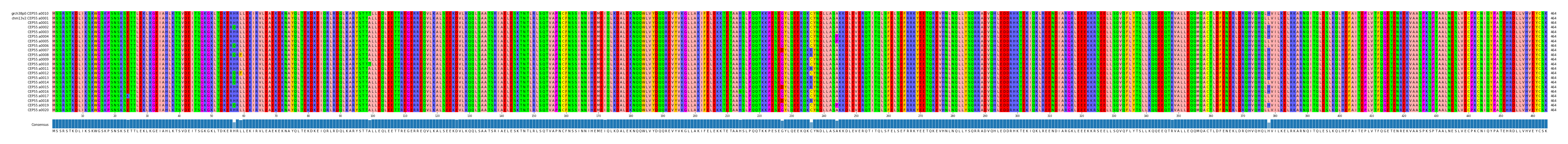 Multiple Alignments (by translate haplotype frequency)