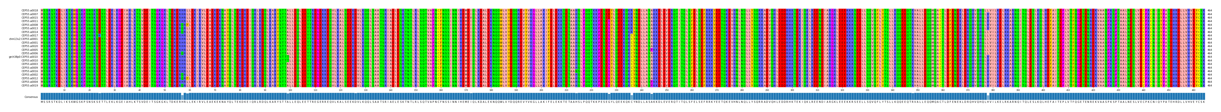 Multiple Alignments (by translate haplotype similarity)
