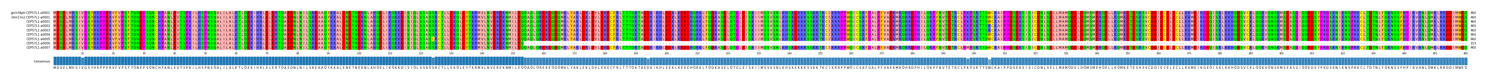 Multiple Alignments (by translate haplotype frequency)