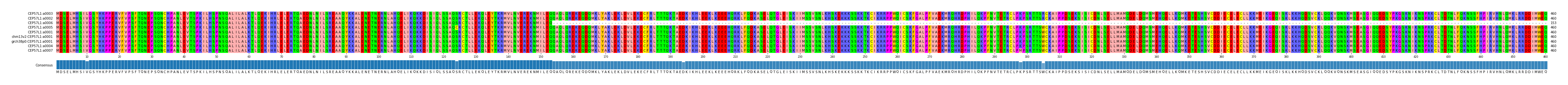 Multiple Alignments (by translate haplotype similarity)