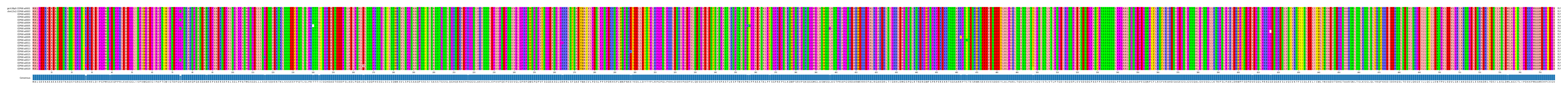 Multiple Alignments (by translate haplotype frequency)
