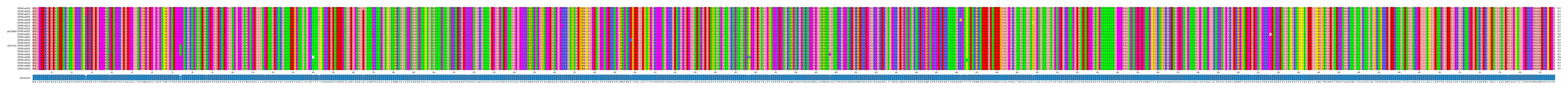 Multiple Alignments (by translate haplotype similarity)