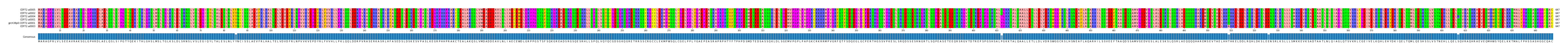 Multiple Alignments (by translate haplotype similarity)