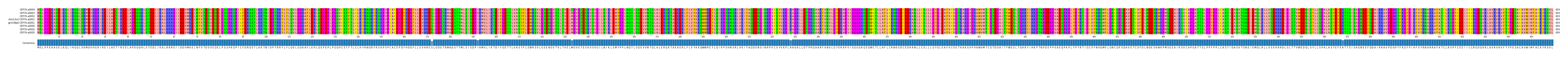 Multiple Alignments (by translate haplotype similarity)