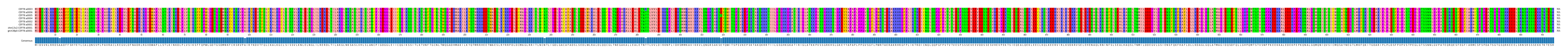 Multiple Alignments (by translate haplotype similarity)