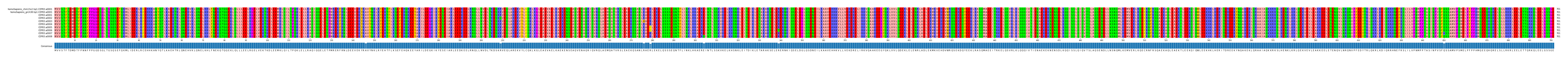 Multiple Alignments (by translate haplotype frequency)