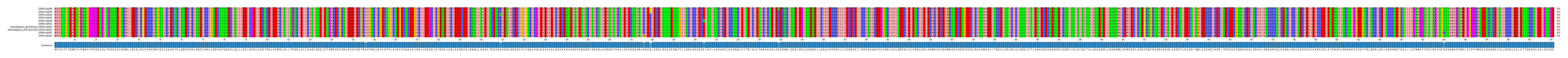 Multiple Alignments (by translate haplotype similarity)