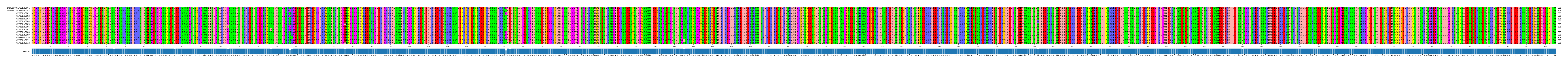 Multiple Alignments (by translate haplotype frequency)