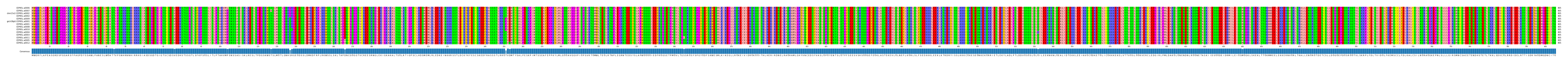 Multiple Alignments (by translate haplotype similarity)