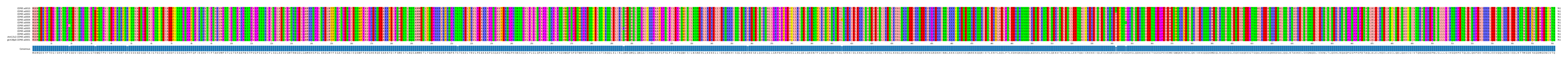 Multiple Alignments (by translate haplotype similarity)