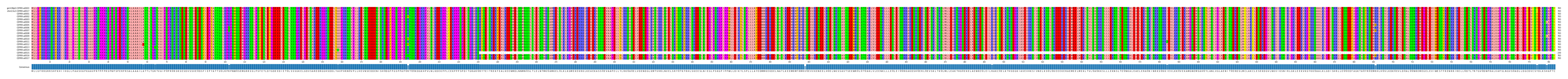 Multiple Alignments (by translate haplotype frequency)