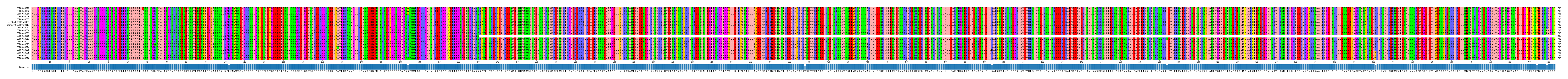 Multiple Alignments (by translate haplotype similarity)