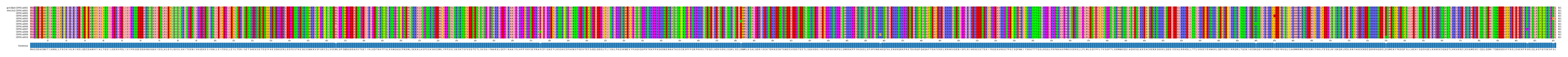 Multiple Alignments (by translate haplotype frequency)