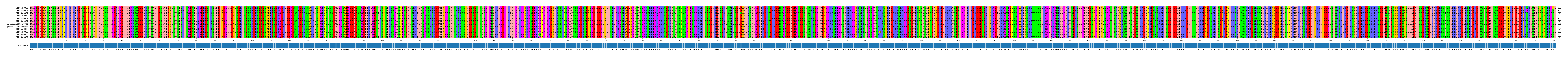 Multiple Alignments (by translate haplotype similarity)