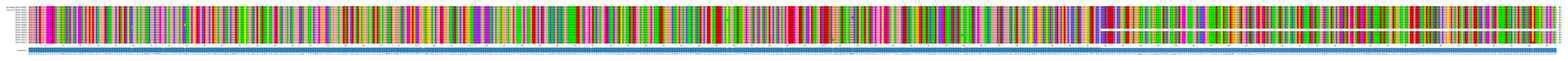 Multiple Alignments (by translate haplotype frequency)